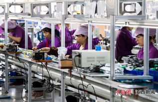 減稅降費(fèi)助力江西新余中小企業(yè)邁向快車道——網(wǎng)站建設(shè)為發(fā)展添翼